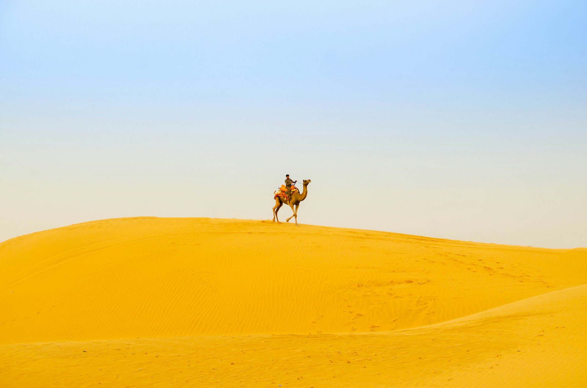 Rajasthan Desert